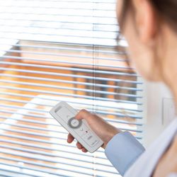 Télécommande Somfy Situo 5 Variation A/M io Pure - Radio - Pour stores orientables